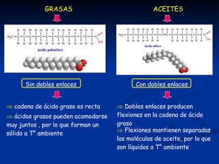 GRASAS ACEITES Sin dobles enlaces    cadena de ácido graso es recta    ácidos grasos pueden acomodarse muy juntos , por lo que forman un sólido a T° ambiente Con dobles enlaces    Dobles enlaces producen flexiones en la cadena de ácido graso    Flexiones mantienen separadas las moléculas de aceite, por lo que son líquidos a T° ambiente 