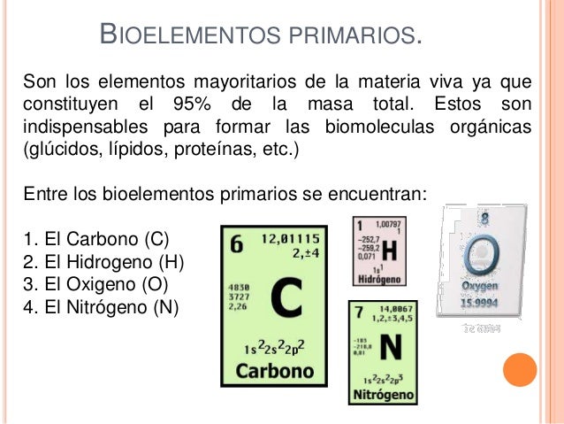 Bioelementos Bases Moleculares de la Bioquímica
