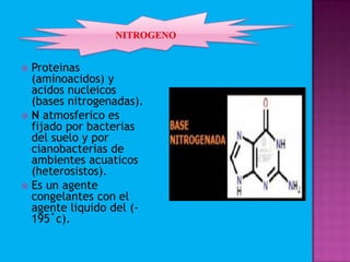  Proteinas
(aminoacidos) y
acidos nucleicos
(bases nitrogenadas).
 N atmosferico es
fijado por bacterias
del suelo y por
cianobacterias de
ambientes acuaticos
(heterosistos).
 Es un agente
congelantes con el
agente liquido del (-
195˚c).
 