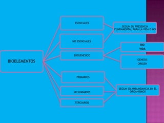 BIOELEMENTOS
ESENCIALES
SEGUN SU PRESENCIA
FUNDAMENTAL PARA LA VIDA O NO
NO ESENCIALES
BIOGENESICO
BIO
VIDA
GENESIS
ORIGEN
PRIMARIOS
SEGUN SU AMBUNDANCIA EN EL
ORGANISMOSSECUNDARIOS
TERCIARIOS
 