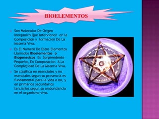  Son Moleculas De Origen
Inorganico Que Intervienen en la
Composicion y formacion De La
Materia Viva.
 Es El Numero De Estos Elementos
Llamados Bioelementos o
Biogenesicos Es Sorprendente
Pequeño, En Comparacion A La
Complejidad De La Materia Viva.
 Se clasifica en esenciales y no
esenciales segun su presencia es
fundamental para la vida o no, y
en primarios secundarios
terciarios segun su ambundancia
en el organismo vivo.
 
