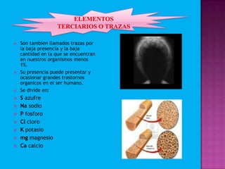  Son tambien llamados trazas por
la baja presencia y la baja
cantidad en la que se encuentran
en nuestros organismos menos
1%.
 Su presencia puede presentar y
ocasionar grandes trastornos
organicos en el ser humano.
 Se divide en:
 S azufre
 Na sodio
 P fosforo
 Cl cloro
 K potasio
 mg magnesio
 Ca calcio
 