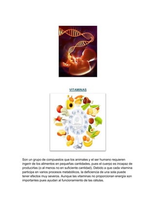 VITAMINAS

Son un grupo de compuestos que los animales y el ser humano requieren
ingerir de los alimentos en pequeñas cantidades, pues el cuerpo es incapaz de
producirlas (o al menos no en suficiente cantidad). Debido a que cada vitamina
participa en varios procesos metabólicos, la deficiencia de una sola puede
tener efectos muy severos. Aunque las vitaminas no proporcionan energía son
importantes pues ayudan al funcionamiento de las células.

 