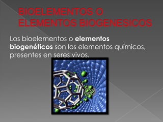 Los bioelementos o elementos
biogenéticos son los elementos químicos,
presentes en seres vivos.

 