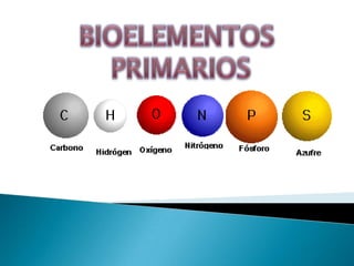 Bioelementos primarios