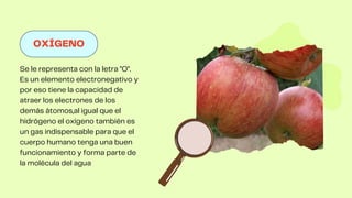 OXÍGENO
Se le representa con la letra "O".
Es un elemento electronegativo y
por eso tiene la capacidad de
atraer los electrones de los
demás átomos,al igual que el
hidrógeno el oxígeno también es
un gas indispensable para que el
cuerpo humano tenga una buen
funcionamiento y forma parte de
la molécula del agua
 