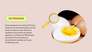 NITRÓGENO
Se le representa con la letra "N". Esta
presente en los aminoácidos y en los
ácidos nucleicos, este elemento
también se encuentra en estado
gaseoso y compone el 78% del aire
presente en la naturaleza, lo
encontramos también en frutas,
fertilizantes, etc.
 