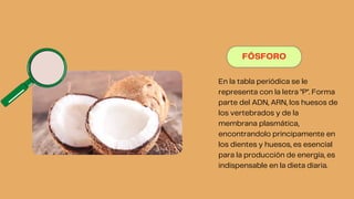 FÓSFORO
En la tabla periódica se le
representa con la letra "P". Forma
parte del ADN, ARN, los huesos de
los vertebrados y de la
membrana plasmática,
encontrandolo principamente en
los dientes y huesos, es esencial
para la producción de energía, es
indispensable en la dieta diaria.
 