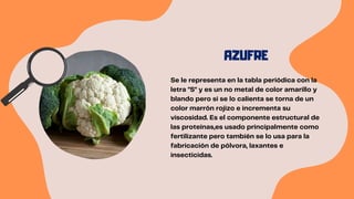 AZUFRE
Se le representa en la tabla periódica con la
letra "S" y es un no metal de color amarillo y
blando pero si se lo calienta se torna de un
color marrón rojizo e incrementa su
viscosidad. Es el componente estructural de
las proteínas,es usado principalmente como
fertilizante pero también se lo usa para la
fabricación de pólvora, laxantes e
insecticidas.
 