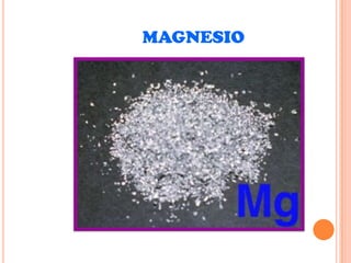 MAGNESIO

 