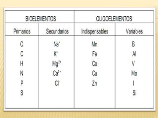 Chonps Bioelementos Bioelementos Y BiomoléCulas | PPTX