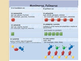 Monómeros, Polímeros
Si el monómero es: El polímero es:
Un monosacárido
(por ejm, glucosa, fructosa)
Un polisacárido
(ejm, almidón, glucógeno, celulosa)
Un aminoácido
(por ejm, arginina, leucina)
Un polipéptido o proteína
(cadenas A y B de insulina son polipétidos e insulina es
una proteína)
Un nucleótido
(azúcar,fosfato, base nitrogenada)
Un ácido nucleico
(ADN, ARN)
 
