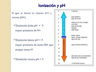 Ionización y pH
El agua se disocia en cationes (H+) y
aniones (OH-).


 Disolución ácida pH < 7:
   mayor presencia de H+


 Disolución básica pH > 7:
   mayor presencia de iones OH- que
   atrapan iones H+


 Disolución neutra pH = 7.


                                   http://laguna.fmedic.unam.mx/~evazquez/0403/escala%20de%20ph_archivos/image008.jpg
 