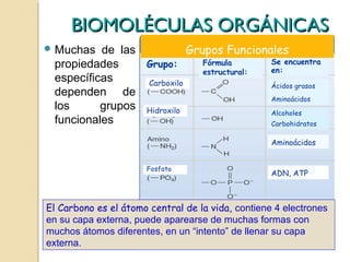 BIOMOLÉCULAS ORGÁNICAS
 Muchas  de las           Grupos Funcionales
 propiedades     Grupo:       Fórmula      Se encuentra
                              estructural: en:
 específicas     Carboxilo                 Ácidos grasos
 dependen de
                                           Aminoácidos
 los      grupos Hidroxilo
                                           Alcoholes
 funcionales                               Carbohidratos

                                                   Aminoácidos


                      Fosfato
                                                   ADN, ATP



El Carbono es el átomo central de la vida, contiene 4 electrones
en su capa externa, puede aparearse de muchas formas con
muchos átomos diferentes, en un “intento” de llenar su capa
externa.
 