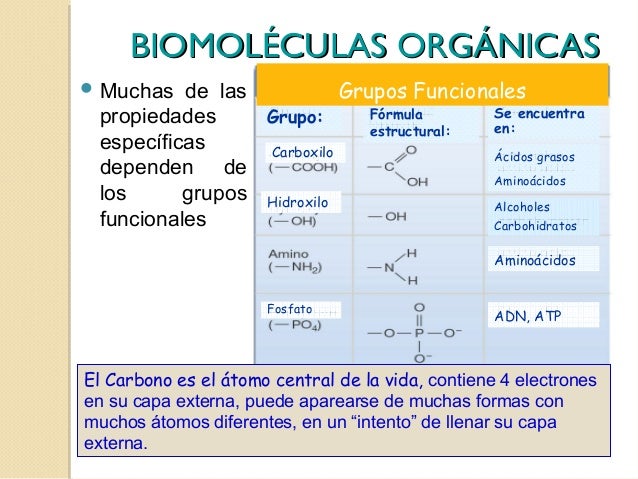 Resultado de imagen para bioelementos funcional
