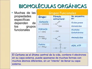 BIOMOLÉCULAS ORGÁNICAS Muchas de las propiedades específicas dependen de los grupos funcionales El Carbono es el átomo central de la vida,  contiene 4 electrones en su capa externa, puede aparearse de muchas formas con muchos átomos diferentes, en un “intento” de llenar su capa externa. Grupo: Se encuentra en: Fórmula estructural: Grupos Funcionales Ácidos grasos Aminoácidos Alcoholes Carbohidratos Aminoácidos ADN, ATP Fosfato Carboxilo Hidroxilo 
