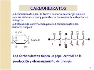 CARBOHIDRATOS Los carbohidratos son  la fuente primaria de energía química para los sistemas vivos y permiten la formación de estructuras biológicas.  Los bloques de construcción para los carbohidratos son azúcares simples. 1 2 3 4 5 6 Los Carbohidratos tienen un papel central en la p roducción  y a lmacenamiento  de Energía Glucosa 