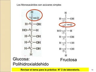 Glucosa: Polihidroxialdehido Fructosa Los Monosacáridos son azúcares simples Revisar el tema para la práctica  N° 2 de laboratorio. 