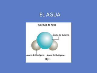 EL AGUA
 