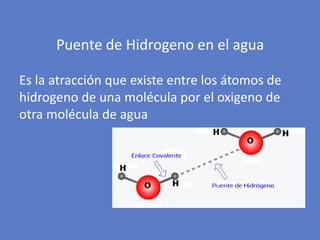 Puente de Hidrogeno en el agua
Es la atracción que existe entre los átomos de
hidrogeno de una molécula por el oxigeno de
otra molécula de agua
 