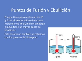 El agua tiene peso molecular de 18
gr/mol el alcohol etílico tiene peso
molecular de 46 gr/mol sin embargo
el agua tiene un mayor punto de
ebullición.
Este fenómeno también se relaciona
con los puentes de hidrogeno
Puntos de Fusión y Ebullición
 