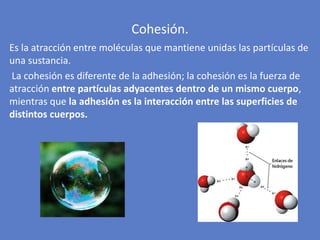 Es la atracción entre moléculas que mantiene unidas las partículas de
una sustancia.
La cohesión es diferente de la adhesión; la cohesión es la fuerza de
atracción entre partículas adyacentes dentro de un mismo cuerpo,
mientras que la adhesión es la interacción entre las superficies de
distintos cuerpos.
Cohesión.
 