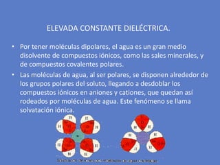 • Por tener moléculas dipolares, el agua es un gran medio
disolvente de compuestos iónicos, como las sales minerales, y
de compuestos covalentes polares.
• Las moléculas de agua, al ser polares, se disponen alrededor de
los grupos polares del soluto, llegando a desdoblar los
compuestos iónicos en aniones y cationes, que quedan así
rodeados por moléculas de agua. Este fenómeno se llama
solvatación iónica.
ELEVADA CONSTANTE DIELÉCTRICA.
 