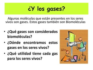 ¿Y los gases?
• ¿Qué gases son considerados
biomoléculas?
• ¿Dónde encontramos estos
gases en los seres vivos?
• ¿Qué utilidad tiene cada gas
para los seres vivos?
Algunas moléculas que están presentes en los seres
vivos son gases. Estos gases también son Biomoléculas
 