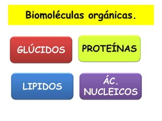 Biomoléculas orgánicas.
GLÚCIDOS
LIPIDOS
PROTEÍNAS
ÁC.
NUCLEICOS
 