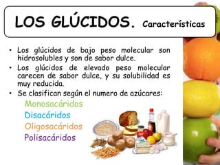 LOS GLÚCIDOS. Características
• Los glúcidos de bajo peso molecular son
hidrosolubles y son de sabor dulce.
• Los glúcidos de elevado peso molecular
carecen de sabor dulce, y su solubilidad es
muy reducida.
• Se clasifican según el numero de azúcares:
Monosacáridos
Disacáridos
Oligosacáridos
Polisacáridos
 