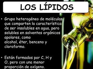• Grupo heterogéneo de moléculas
que comparten la característica
de ser insolubles en agua, pero
solubles en solventes orgánicos
apolares, como
alcohol, éter, benceno y
cloroformo.
• Están formados por C, H y
O, pero con una menor
proporción de oxígeno.
LOS LÍPIDOS
 