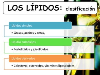 • Grasas, aceites y ceras.
Lípidos simples
• Fosfolípidos y glicolípidos
Lípidos complejos
• Colesterol, esteroides, vitaminas liposolubles
Lípidos derivados
LOS LÍPIDOS: clasificación
 
