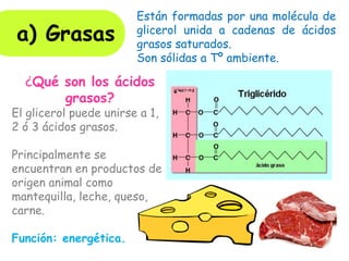 Están formadas por una molécula de
glicerol unida a cadenas de ácidos
grasos saturados.
Son sólidas a Tº ambiente.
a) Grasas
¿Qué son los ácidos
grasos?
El glicerol puede unirse a 1,
2 ó 3 ácidos grasos.
Principalmente se
encuentran en productos de
origen animal como
mantequilla, leche, queso,
carne.
Función: energética.
 