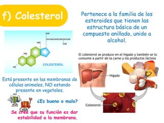 f) Colesterol Pertenece a la familia de los
esteroides que tienen las
estructura básica de un
compuesto anillado, unido a
alcohol.
Está presente en las membranas de
células animales, NO estando
presente en vegetales.
¿Es bueno o malo?
Se cree que su función es dar
estabilidad a la membrana.
 