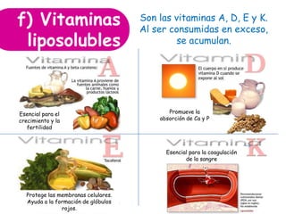 f) Vitaminas
liposolubles
Son las vitaminas A, D, E y K.
Al ser consumidas en exceso,
se acumulan.
Promueve la
absorción de Ca y P
Esencial para la coagulación
de la sangre
Esencial para el
crecimiento y la
fertilidad
Protege las membranas celulares.
Ayuda a la formación de glóbulos
rojos.
 