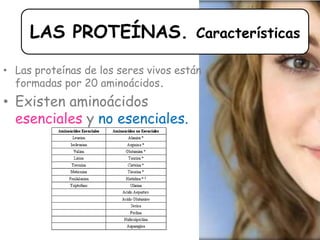 • Las proteínas de los seres vivos están
formadas por 20 aminoácidos.
• Existen aminoácidos
esenciales y no esenciales.
LAS PROTEÍNAS. Características
 