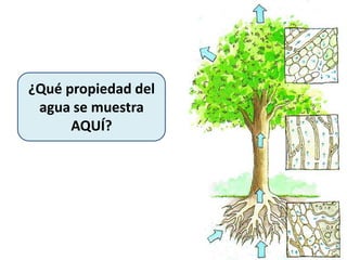 ¿Qué propiedad del
agua se muestra
AQUÍ?
 