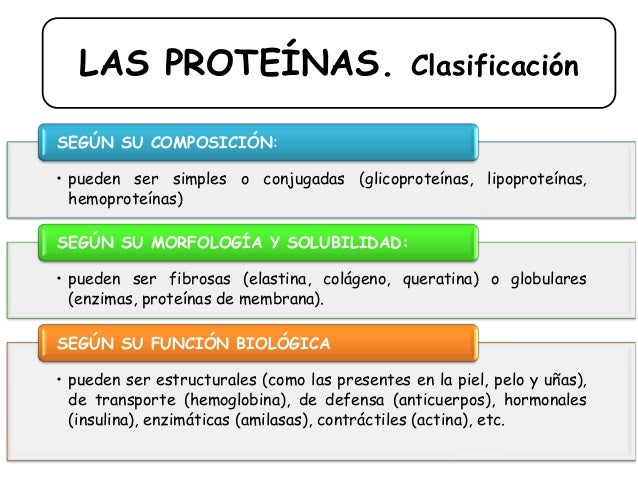 Resultado de imagen para bioelementos proteinas