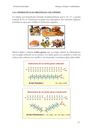 IES Sierra de San Quílez Biología y Geología 1º de Bachillerato
11
5.2.4- BIOMOLÉCULAS ORGÁNICAS: LOS LÍPIDOS
Los lípidos son biomoléculas formadas fundamentalmente por C, H y O y pueden
contener P, N y S. Constituyen un grupo muy heterogéneo. Son sustancias orgánicas
insolubles en agua, pero solubles en disolventes orgánicos.
Muchos lípidos contienen ácidos grasos, que son largas cadenas de hidrocarburos
con un grupo carboxilo en un extremo. Los ácidos grasos son saturados si todos los
enlaces entre carbonos son sencillos y son insaturados si contienen algún enlace doble.
 