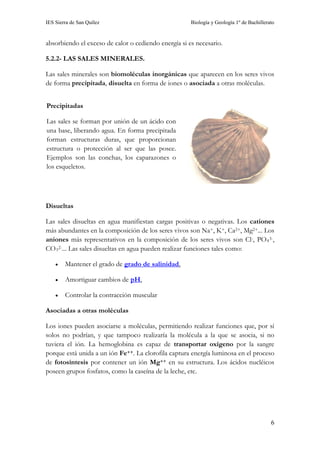 IES Sierra de San Quílez Biología y Geología 1º de Bachillerato
6
absorbiendo el exceso de calor o cediendo energía si es necesario.
5.2.2- LAS SALES MINERALES.
Las sales minerales son biomoléculas inorgánicas que aparecen en los seres vivos
de forma precipitada, disuelta en forma de iones o asociada a otras moléculas.
Precipitadas
Las sales se forman por unión de un ácido con
una base, liberando agua. En forma precipitada
forman estructuras duras, que proporcionan
estructura o protección al ser que las posee.
Ejemplos son las conchas, los caparazones o
los esqueletos.
Disueltas
Las sales disueltas en agua manifiestan cargas positivas o negativas. Los cationes
más abundantes en la composición de los seres vivos son Na+, K+, Ca2+, Mg2+... Los
aniones más representativos en la composición de los seres vivos son Cl-, PO43-,
CO32-... Las sales disueltas en agua pueden realizar funciones tales como:
• Mantener el grado de grado de salinidad.
• Amortiguar cambios de pH,
• Controlar la contracción muscular
Asociadas a otras moléculas
Los iones pueden asociarse a moléculas, permitiendo realizar funciones que, por sí
solos no podrían, y que tampoco realizaría la molécula a la que se asocia, si no
tuviera el ión. La hemoglobina es capaz de transportar oxígeno por la sangre
porque está unida a un ión Fe++. La clorofila captura energía luminosa en el proceso
de fotosíntesis por contener un ión Mg++ en su estructura. Los ácidos nucléicos
poseen grupos fosfatos, como la caseína de la leche, etc.
 
