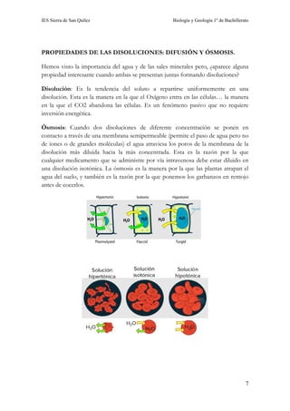 IES Sierra de San Quílez Biología y Geología 1º de Bachillerato
7
PROPIEDADES DE LAS DISOLUCIONES: DIFUSIÓN Y ÓSMOSIS.
Hemos visto la importancia del agua y de las sales minerales pero, ¿aparece alguna
propiedad interesante cuando ambas se presentan juntas formando disoluciones?
Disolución: Es la tendencia del soluto a repartirse uniformemente en una
disolución. Esta es la manera en la que el Oxígeno entra en las células… la manera
en la que el CO2 abandona las células. Es un fenómeno pasivo que no requiere
inversión energética.
Ósmosis: Cuando dos disoluciones de diferente concentración se ponen en
contacto a través de una membrana semipermeable (permite el paso de agua pero no
de iones o de grandes moléculas) el agua atraviesa los poros de la membrana de la
disolución más diluida hacia la más concentrada. Esta es la razón por la que
cualquier medicamento que se administre por vía intravenosa debe estar diluido en
una disolución isotónica. La ósmosis es la manera por la que las plantas atrapan el
agua del suelo, y también es la razón por la que ponemos los garbanzos en remojo
antes de cocerlos.
 