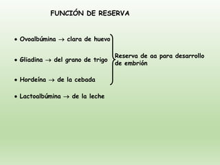 FUNCIÓN DE RESERVA
• Ovoalbúmina → clara de huevo
• Gliadina → del grano de trigo
• Hordeína → de la cebada
• Lactoalbúmina → de la leche
Reserva de aa para desarrollo
de embrión
 