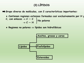 (3) LÍPIDOS
Grupo diverso de moléculas, con 2 características importantes:
 Contienen regiones extensas formadas casi exclusivamente por H y
C, con enlaces → C ― C
→ C ― H
No polares
 Regiones no polares  lípidos son hidrofóbicos
Aceites, grasas y ceras
Fosfolípidos
Esteroides
Lípidos
 