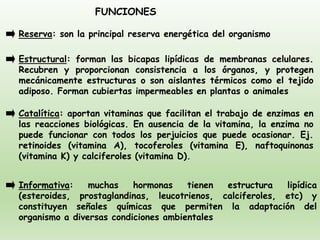 FUNCIONES
Reserva: son la principal reserva energética del organismo
Estructural: forman las bicapas lipídicas de membranas celulares.
Recubren y proporcionan consistencia a los órganos, y protegen
mecánicamente estructuras o son aislantes térmicos como el tejido
adiposo. Forman cubiertas impermeables en plantas o animales
Catalítica: aportan vitaminas que facilitan el trabajo de enzimas en
las reacciones biológicas. En ausencia de la vitamina, la enzima no
puede funcionar con todos los perjuicios que puede ocasionar. Ej.
retinoides (vitamina A), tocoferoles (vitamina E), naftoquinonas
(vitamina K) y calciferoles (vitamina D).
Informativa: muchas hormonas tienen estructura lipídica
(esteroides, prostaglandinas, leucotrienos, calciferoles, etc) y
constituyen señales químicas que permiten la adaptación del
organismo a diversas condiciones ambientales
 