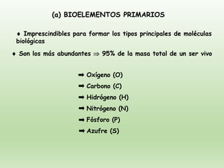 (a) BIOELEMENTOS PRIMARIOS
 Imprescindibles para formar los tipos principales de moléculas
biológicas
 Son los más abundantes  95% de la masa total de un ser vivo
Carbono (C)
Oxígeno (O)
Hidrógeno (H)
Nitrógeno (N)
Fósforo (P)
Azufre (S)
 