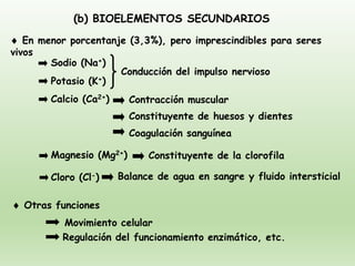 (b) BIOELEMENTOS SECUNDARIOS
 En menor porcentanje (3,3%), pero imprescindibles para seres
vivos
Calcio (Ca2+)
Cloro (Cl-)
Magnesio (Mg2+)
Contracción muscular
Movimiento celular
Regulación del funcionamiento enzimático, etc.
Constituyente de huesos y dientes
Coagulación sanguínea
Constituyente de la clorofila
 Otras funciones
Sodio (Na+)
Potasio (K+)
Conducción del impulso nervioso
Balance de agua en sangre y fluido intersticial
 