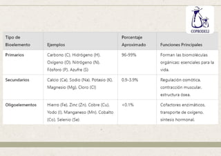 BIOELEMENTOS Y BIOMOLECULAS                                                          -IMFORMACION