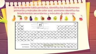 De la siguiente tabla periódica, identifica los bioelementos
primarios y márcalos de color azul, asimismo identifica los
bioelementos secundarios y márcalos de color rojo.
 