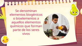 Se denominan
elementos biogénicos
o bioelementos a
aquellos elementos
químicos que forman
parte de los seres
vivos
 