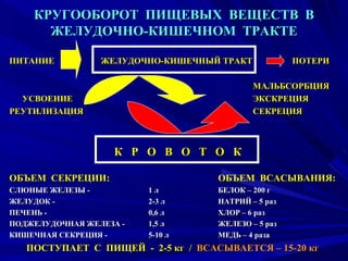 КРУГООБОРОТ  ПИЩЕВЫХ  ВЕЩЕСТВ  В ЖЕЛУДОЧНО-КИШЕЧНОМ  ТРАКТЕ ПИТАНИЕ    ЖЕЛУДОЧНО-КИШЕЧНЫЙ ТРАКТ  ПОТЕРИ МАЛЬБСОРБЦИЯ УСВОЕНИЕ ЭКСКРЕЦИЯ РЕУТИЛИЗАЦИЯ СЕКРЕЦИЯ   К  Р  О  В  О  Т  О  К ОБЪЕМ  СЕКРЕЦИИ: ОБЪЕМ  ВСАСЫВАНИЯ: СЛЮНЫЕ ЖЕЛЕЗЫ - 1 л БЕЛОК – 200 г ЖЕЛУДОК - 2-3 л НАТРИЙ – 5 раз ПЕЧЕНЬ - 0,6 л ХЛОР – 6 раз ПОДЖЕЛУДОЧНАЯ ЖЕЛЕЗА - 1,5 л ЖЕЛЕЗО – 5 раз КИШЕЧНАЯ СЕКРЕЦИЯ - 5-10 л МЕДЬ – 4 раза ПОСТУПАЕТ  С  ПИЩЕЙ  -  2-5 кг  /  ВСАСЫВАЕТСЯ – 15-20 кг 